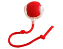 Cat and Dog Smart Ball-LED Light, USB Recharge and 360 Movement
