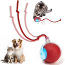 Cat and Dog Smart Ball-LED Light, USB Recharge and 360 Movement