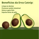 Abacate de Brinquedo Interativo CatNip Para Gatos