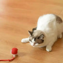 Cat and Dog Smart Ball-LED Light, USB Recharge and 360 Movement